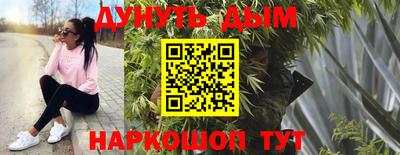 молекула духа Будённовск
