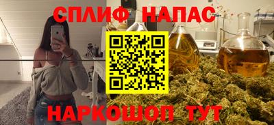 молекула духа Будённовск