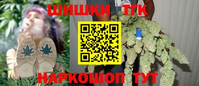 молекула духа Будённовск